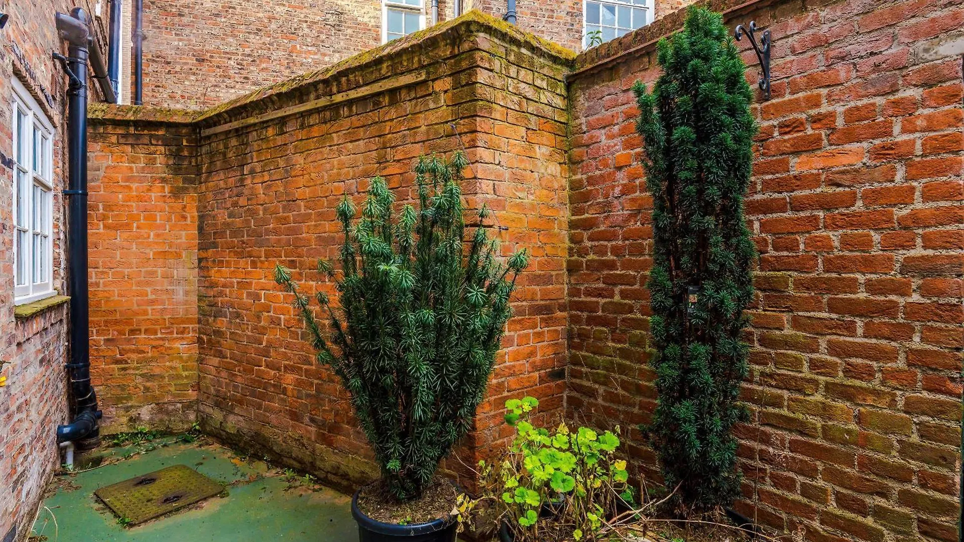 Exquisite York Gem - Garden Daire